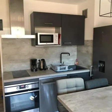 Les Mélèzes Vue Montagne Appartement *